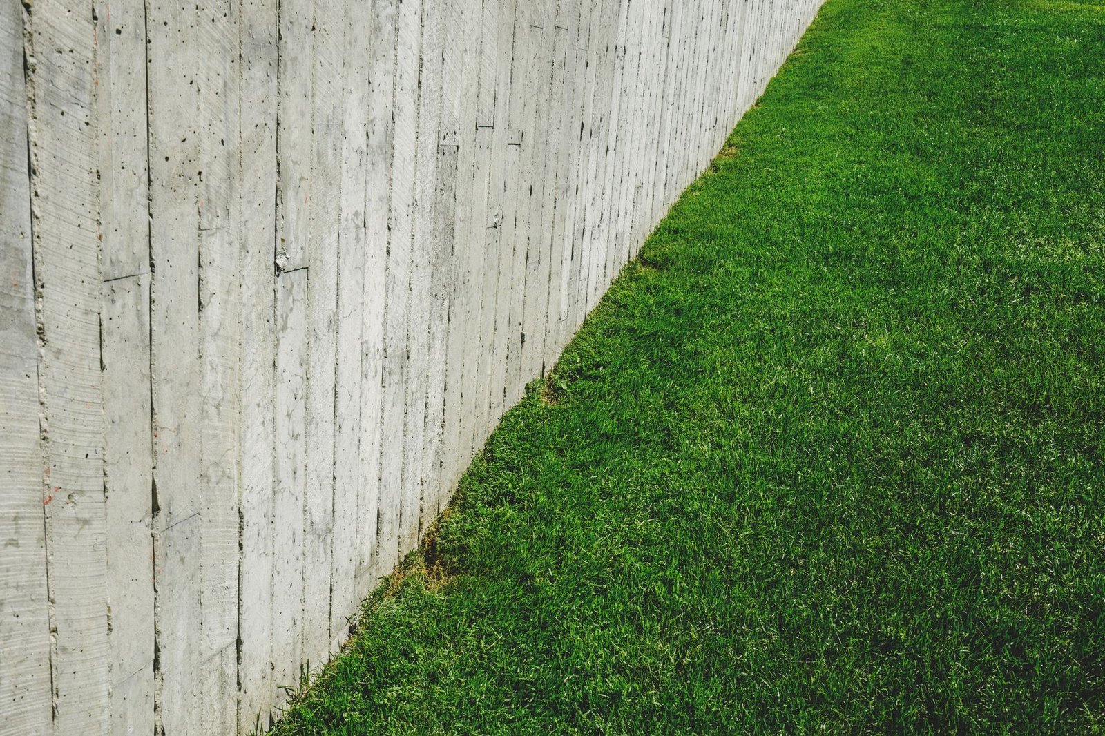 Freshly painted white wood fence